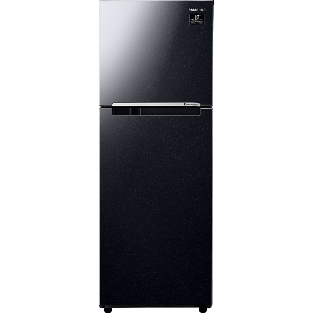 Tủ lạnh Samsung 236 lít RT22M4032BU/SV